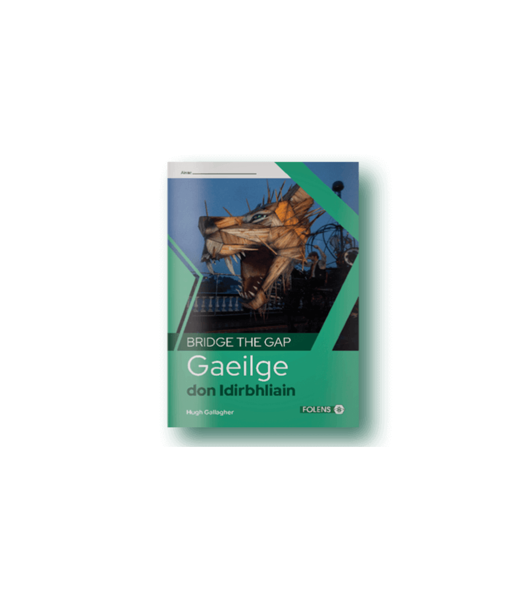 Cover of Bridge the Gap Gaeilge