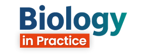 Biology in Practice logo