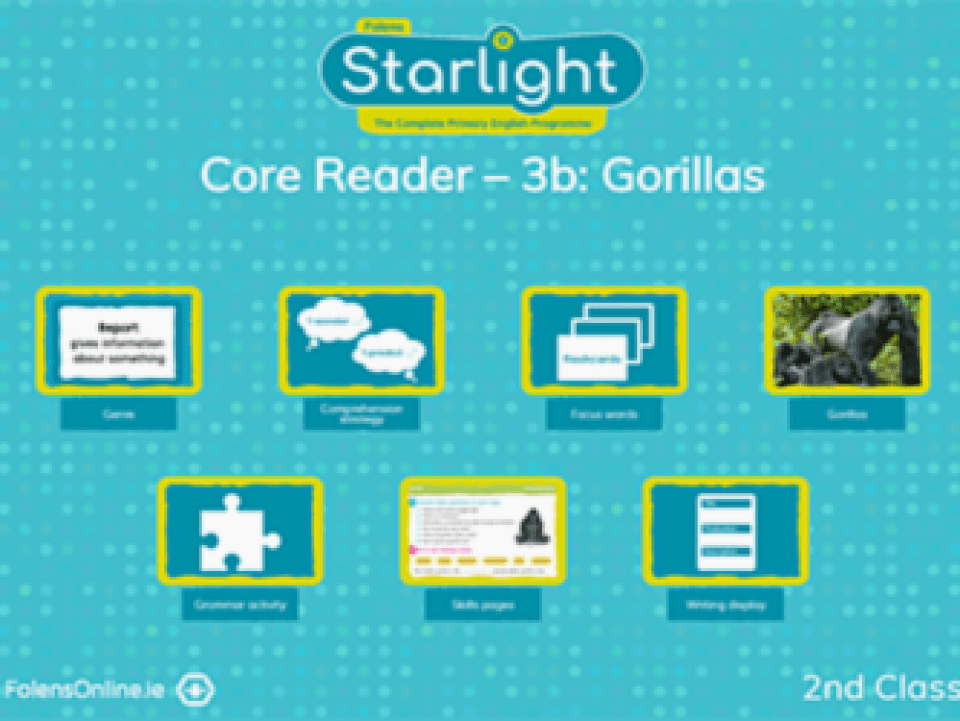 Core reader 3b: Gorillas