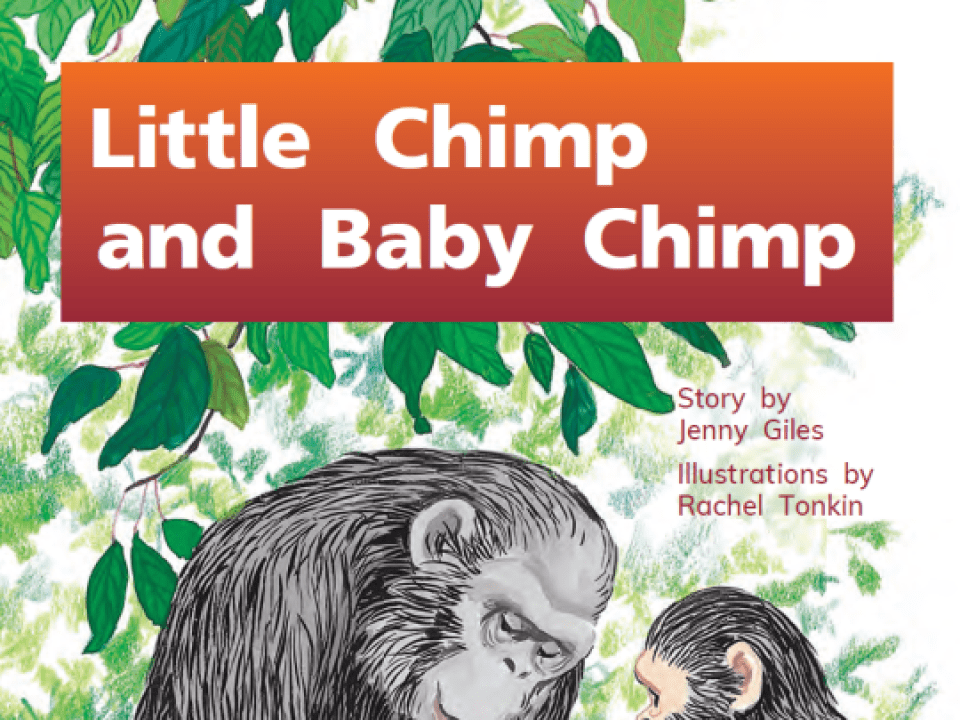 Little Chimp and Baby Chimp Thumbnail