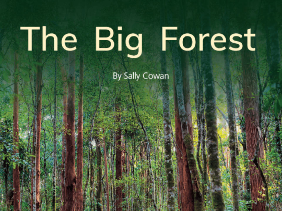 The Big Forest Thumbnail